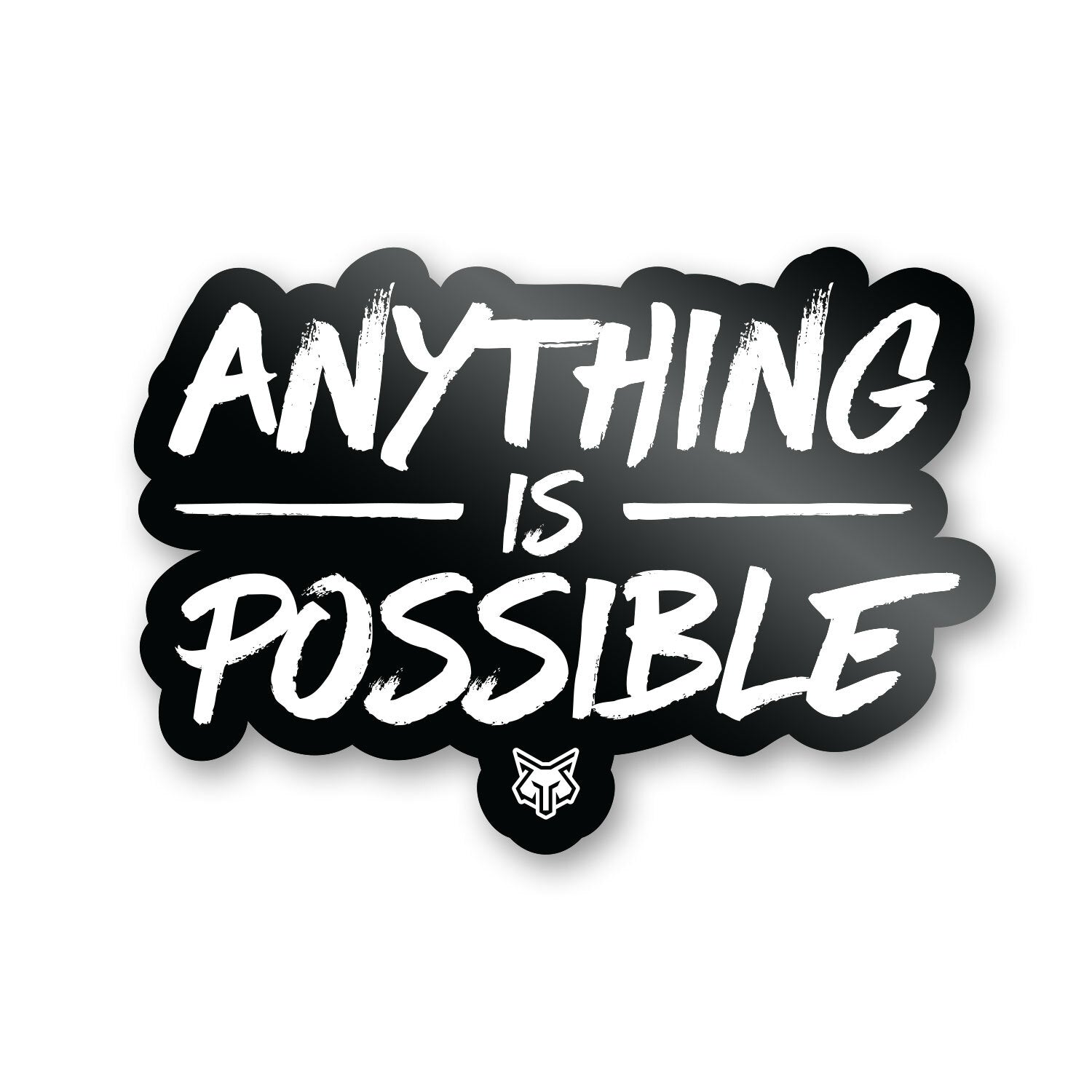 ANYTHING IS POSSIBLE STICKER - TakeShots